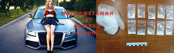 индика Надым