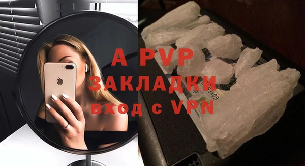 индика Надым