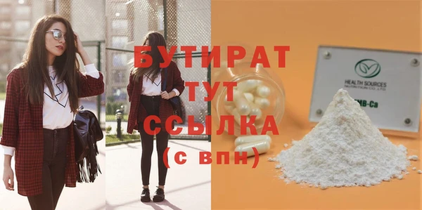 индика Надым
