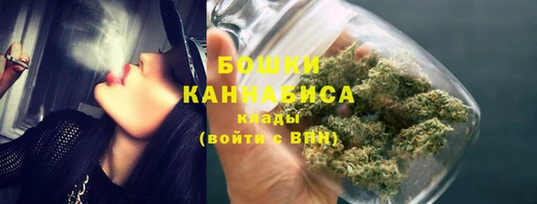 индика Надым