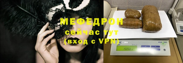 индика Надым