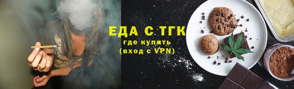индика Надым