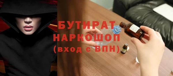 индика Надым