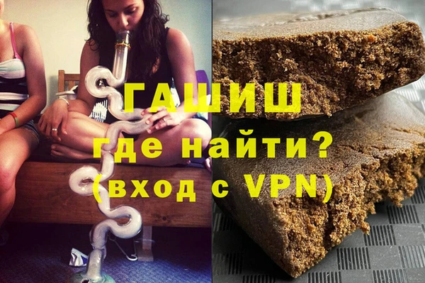 индика Надым