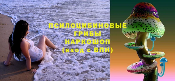 индика Надым