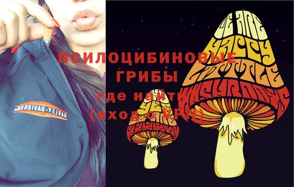 индика Надым