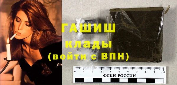 индика Надым