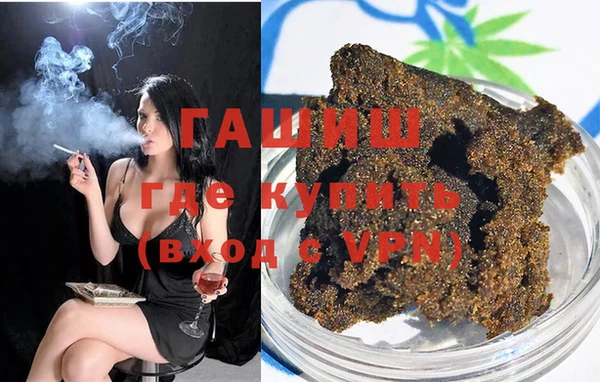 индика Надым