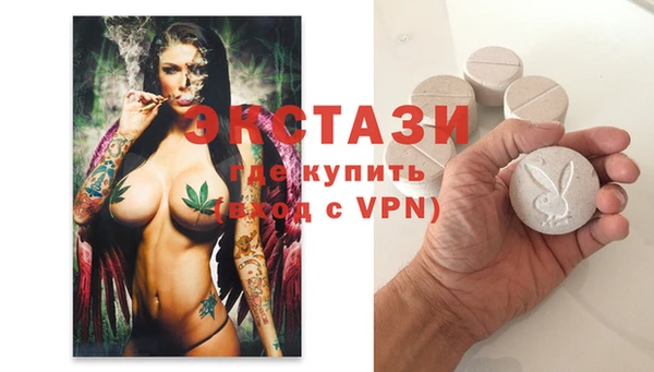 индика Надым
