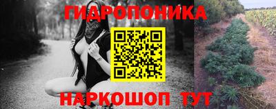 apvp Камышлов